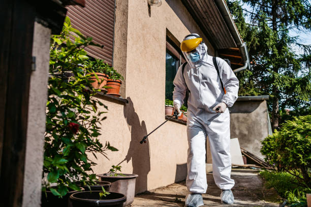Best Emergency Pest Control  in Inglenook, CT