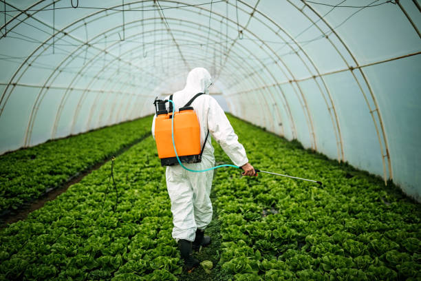 Best Pest Control for Restaurants  in Inglenook, CT
