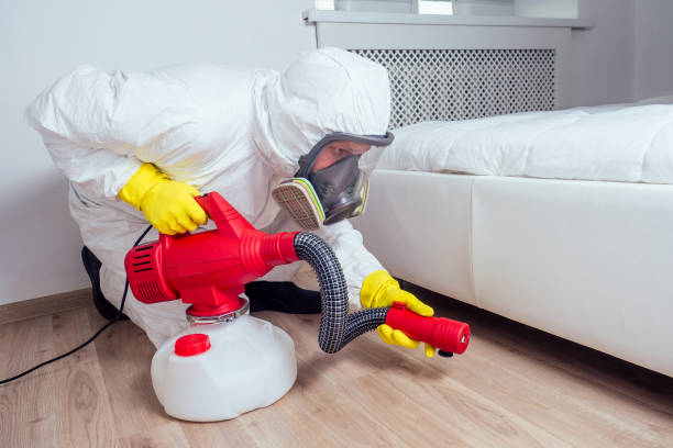 Best Local Pest Control Services  in Inglenook, CT
