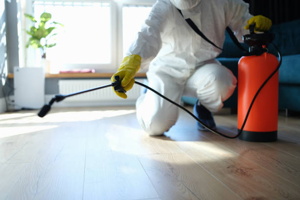 Best Residential Pest Control  in Inglenook, CT