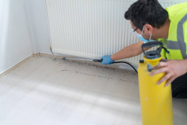Best Termite Control Services  in Inglenook, CT