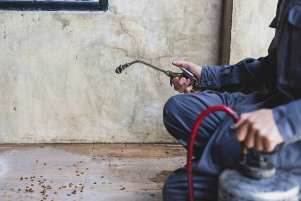 Best Best Pest Control Companies  in Inglenook, CT